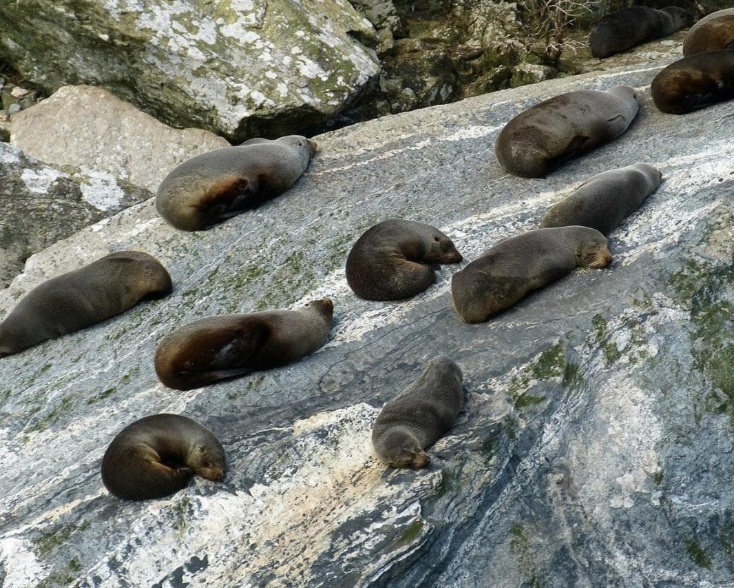Neuseeland - Höhepunkte der Südinsel Rundreise