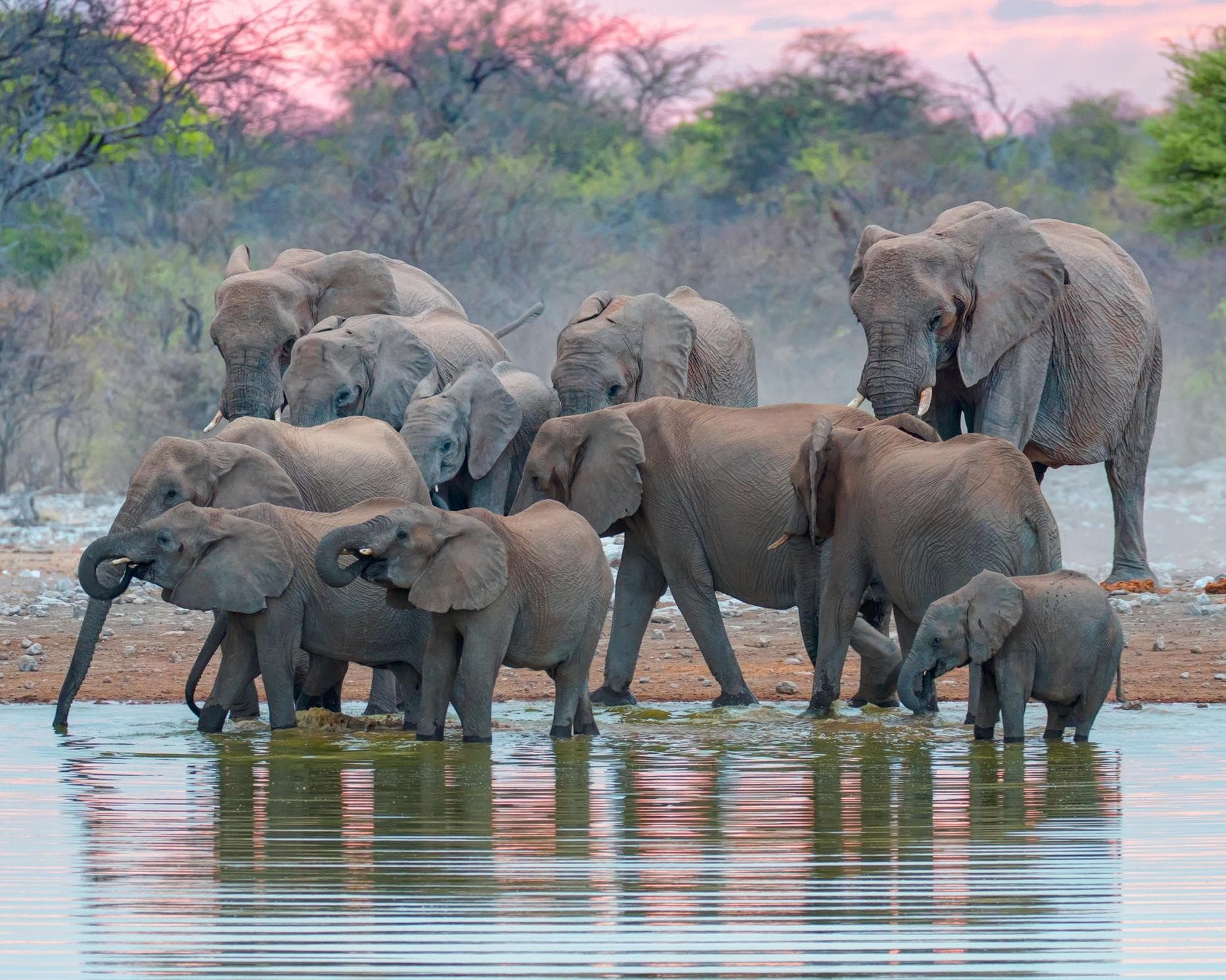 Namíbia Fly & Drive