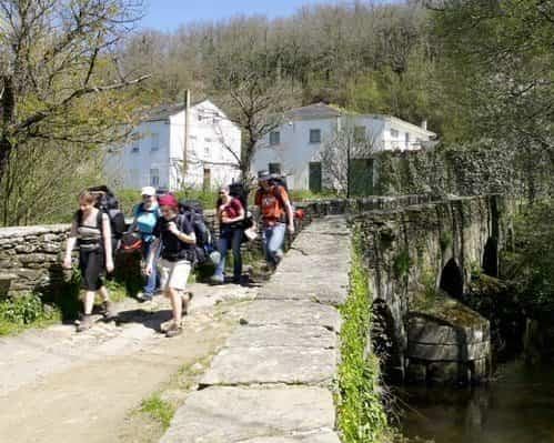 Camino de Santiago Experience