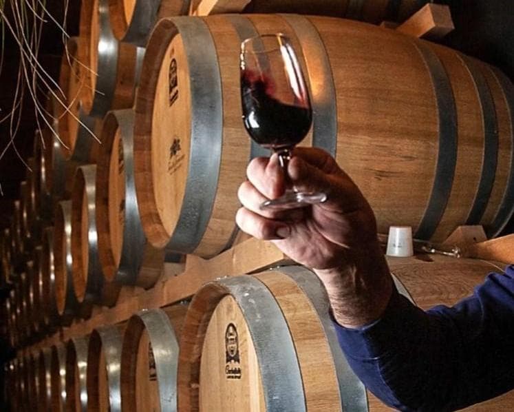 Tuscany4You (stay in 3*** Hotel) Semi-Escorted Tour 