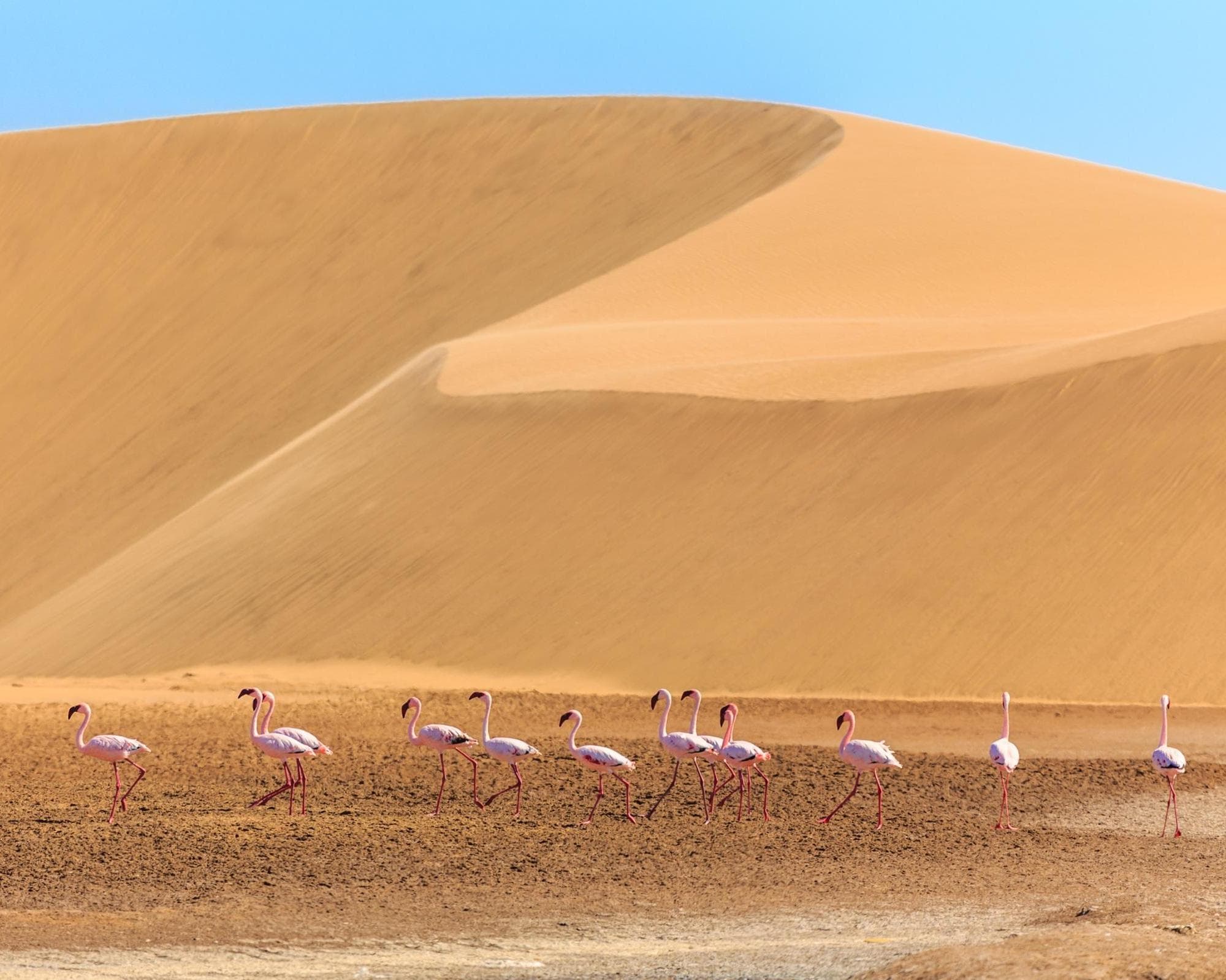 Encantos da Namíbia