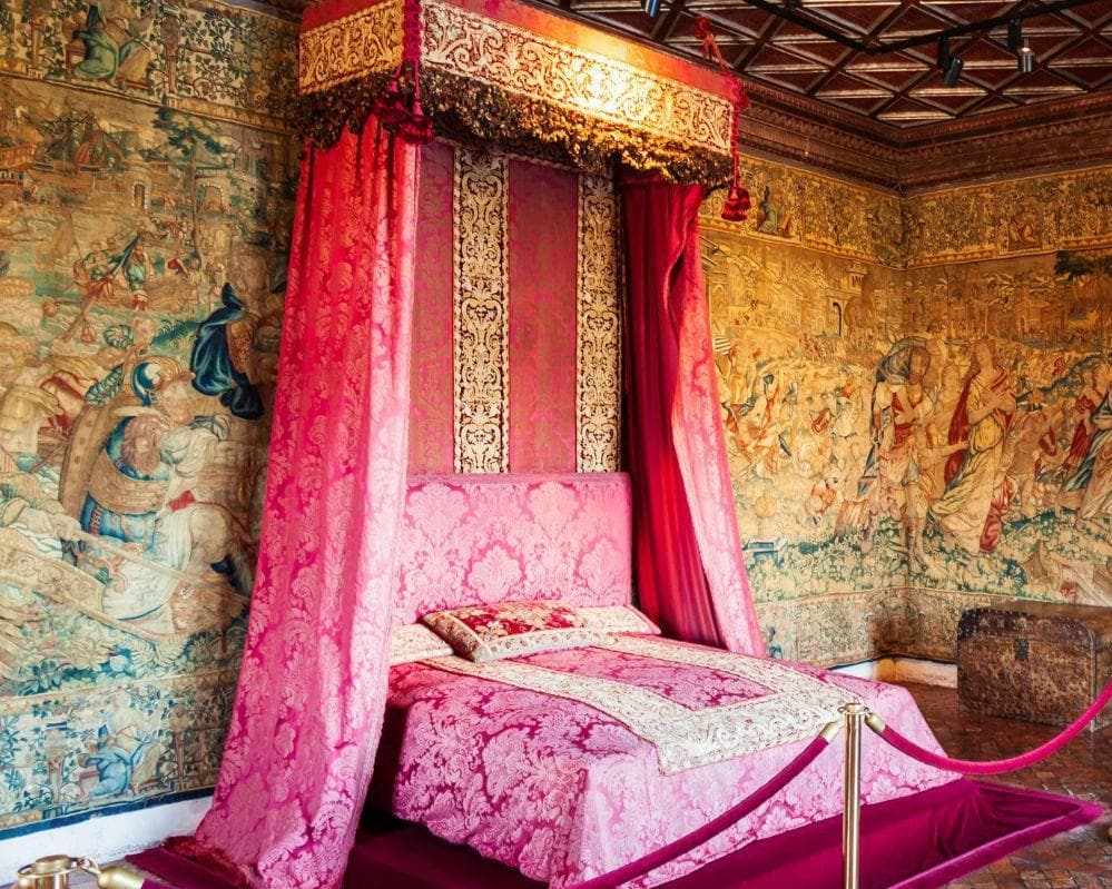 EXPLORE Castelli della Loira e PARIGI