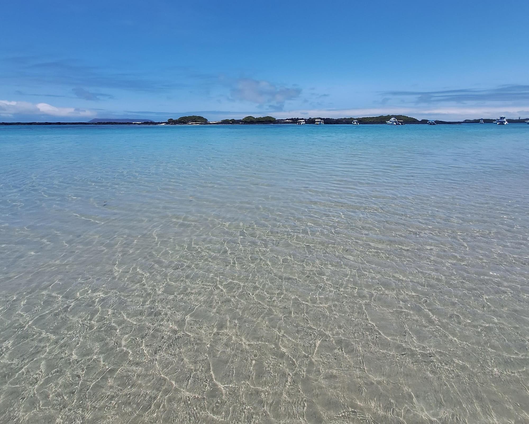 Santa Cruz & Isabela 5 dias