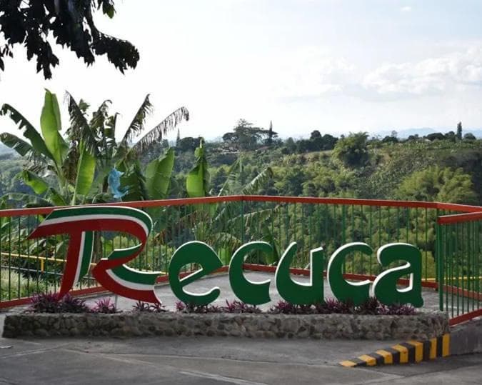 CLASSIC EJE CAFETERO 3N4D