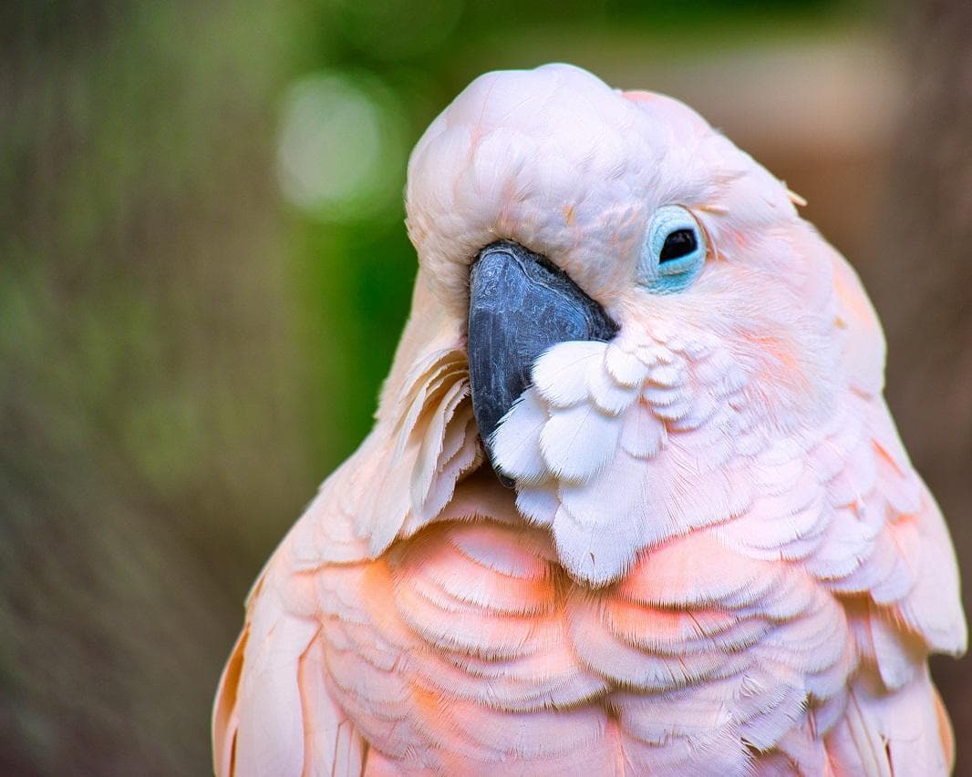 Melbourne & the Great Ocean Road Rundreise