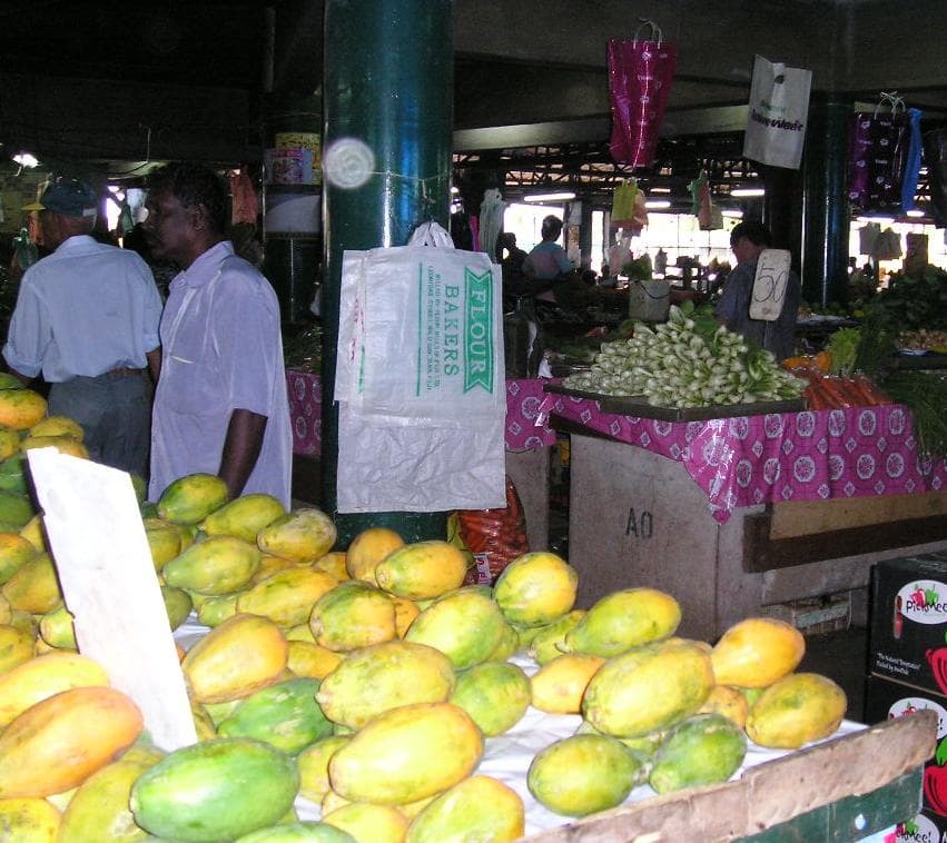 Selbstfahrer-Rundreise Fiji & Nanuya Island Resort