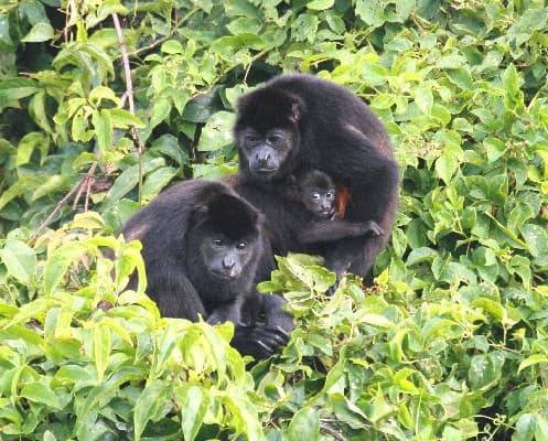 Rundreise "Pazifiktour"