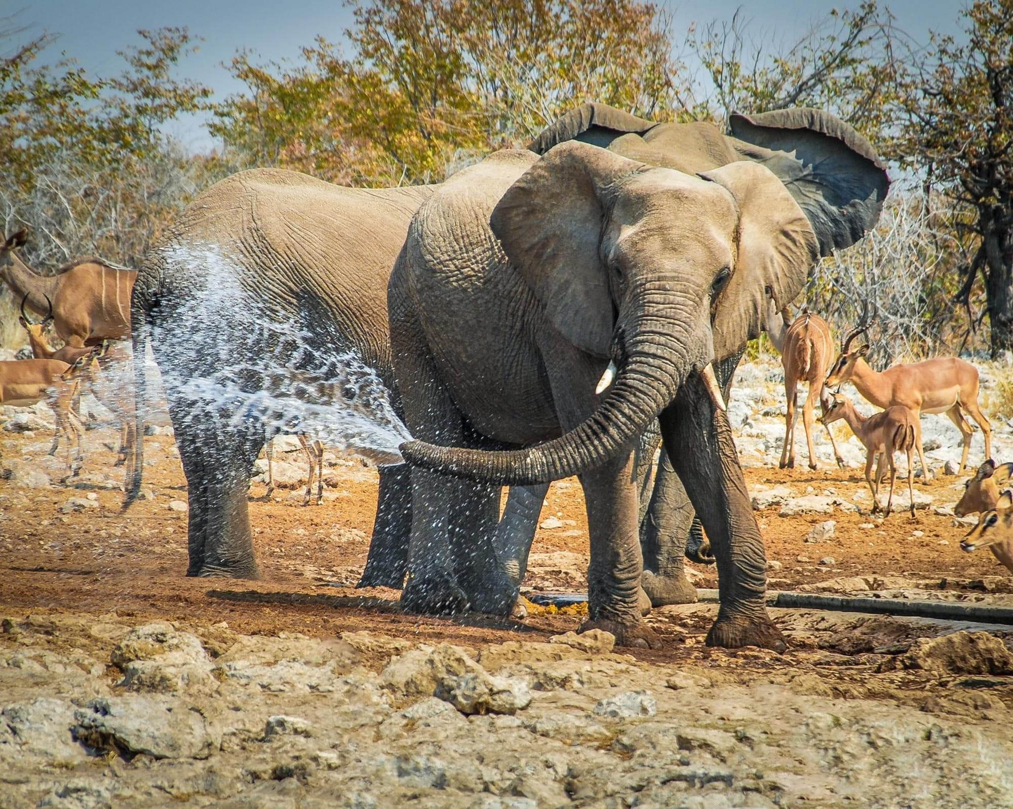 Namíbia Fly & Drive