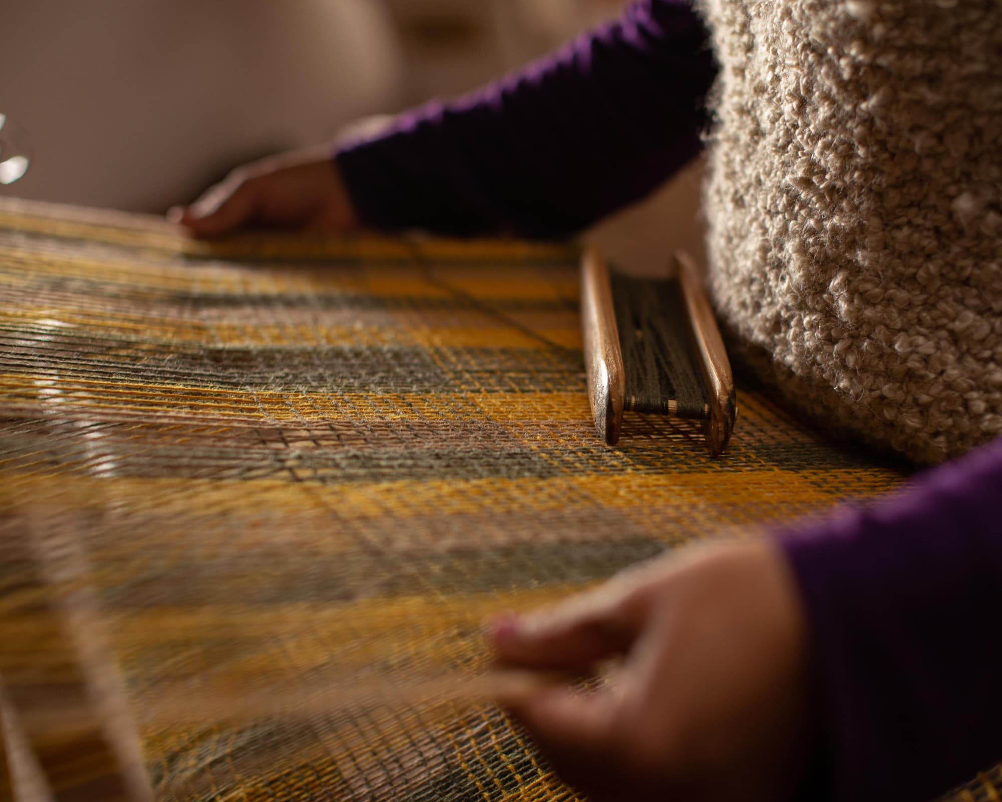 Programa: Catamarca Total