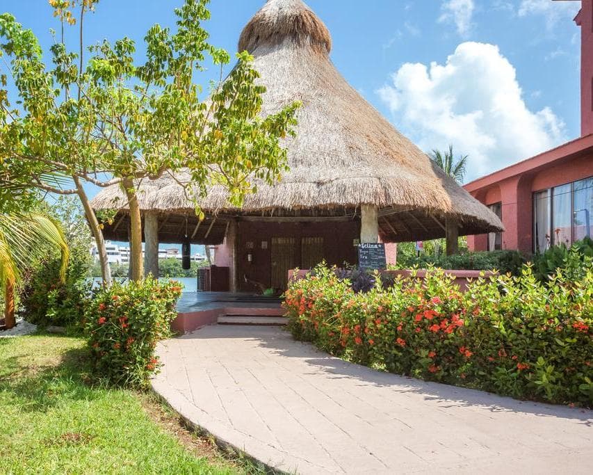 SELINA COLIVE FLEX - LATINOAMERICA