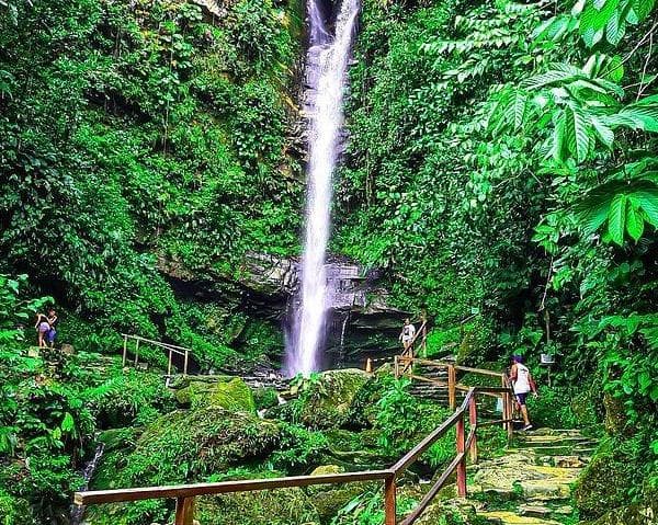 Sauce Resort and Tarapoto 5 days and 4 nights