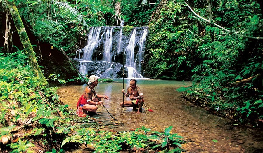 Rundreise "Die Natur Borneos"