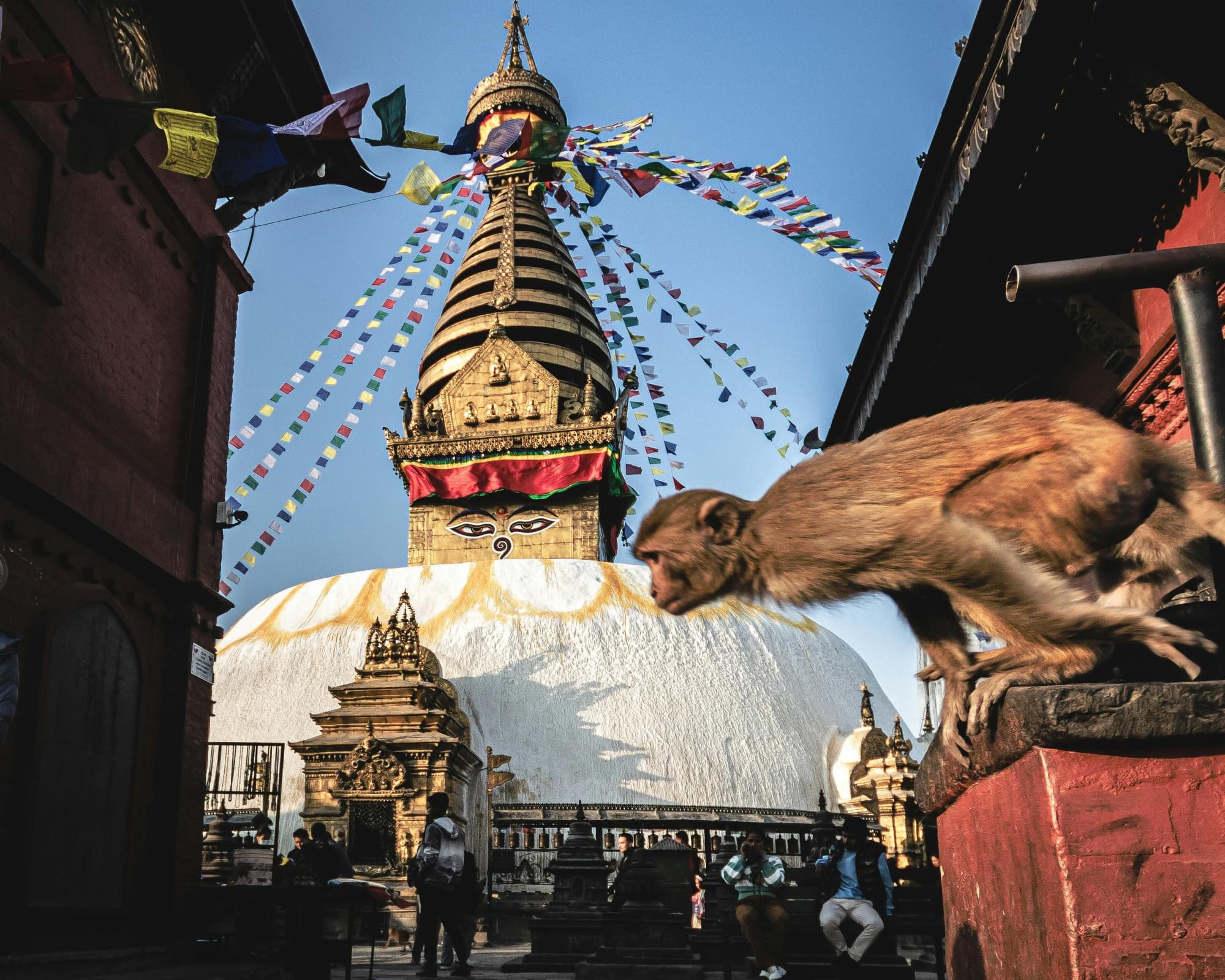 Privatrundreise "Nepal für Einsteiger" 