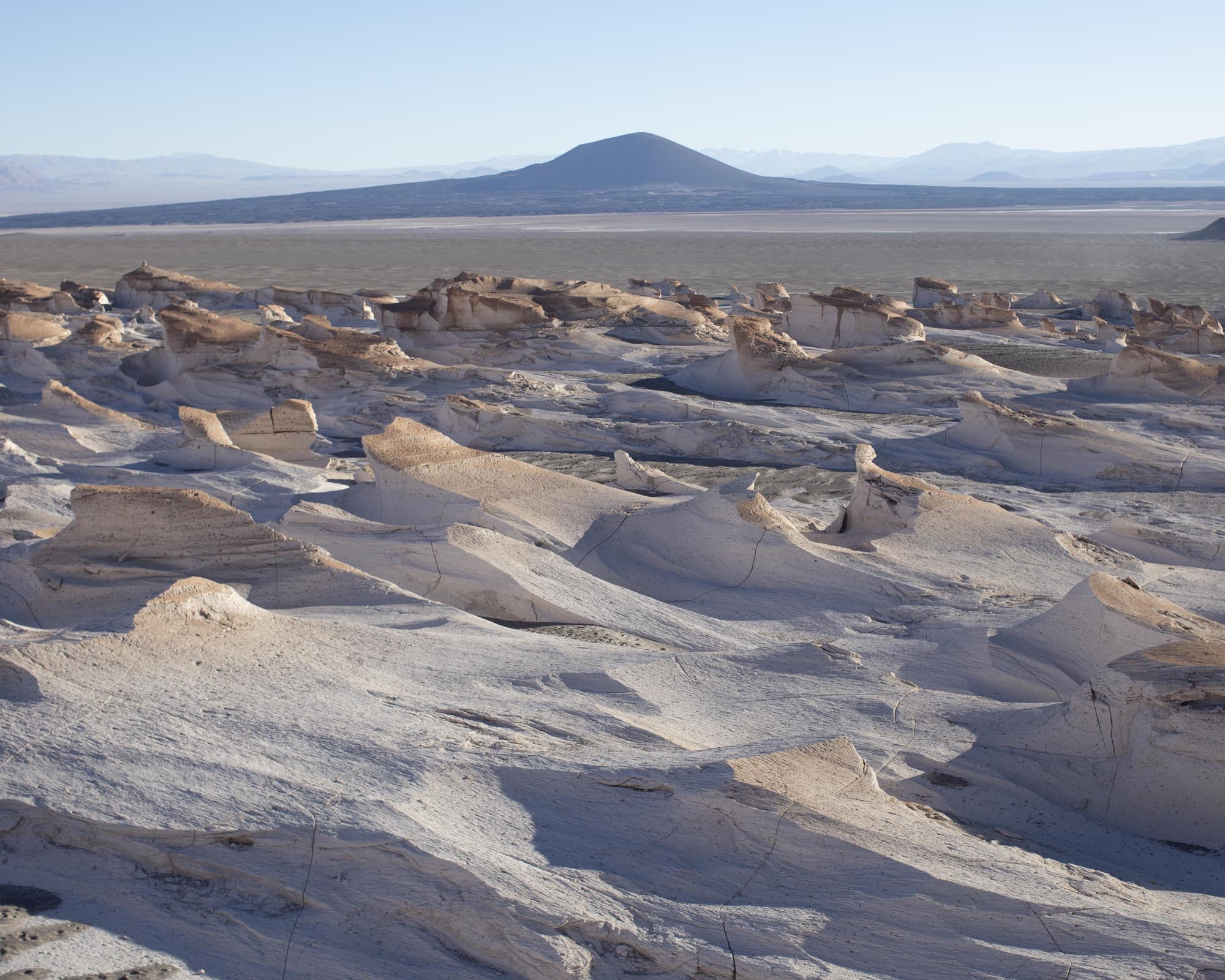 Programa Catamarca: Puna