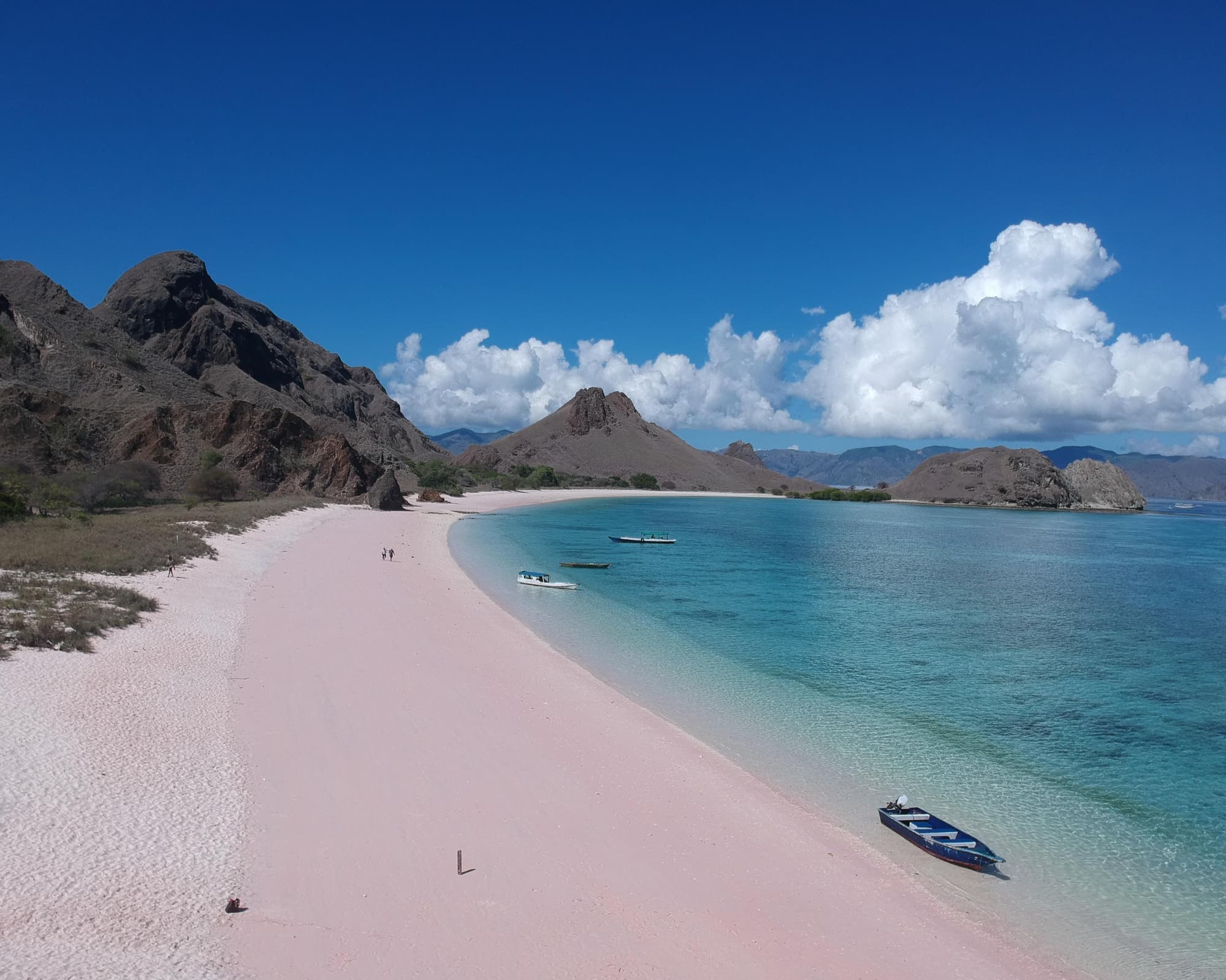 Private Kurztour "Warane, wilde Tiere & Korallengärten"