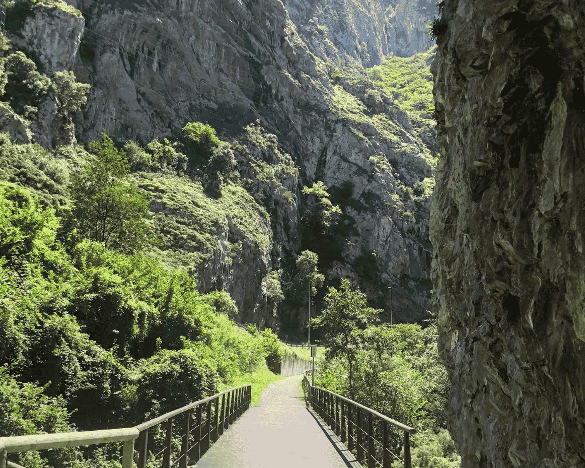 Recorriendo Asturias con la Senda de los Miradores y la Ruta del Oso