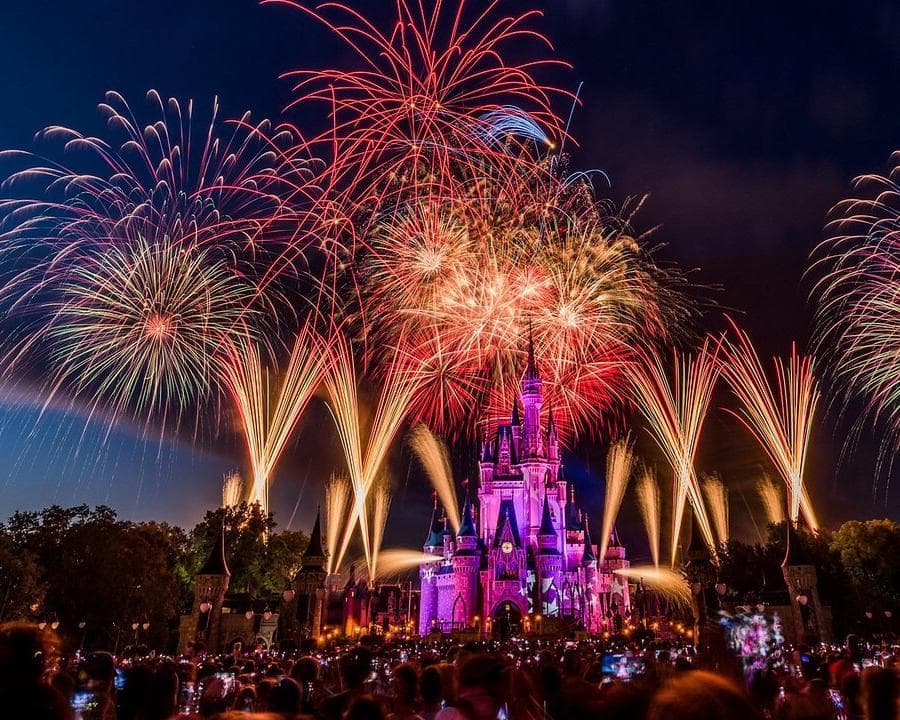 VIVE LA MAGIA EN DISNEY 