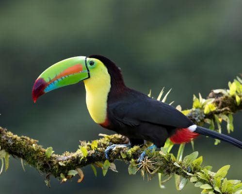 Costa Rica en Semana Santa