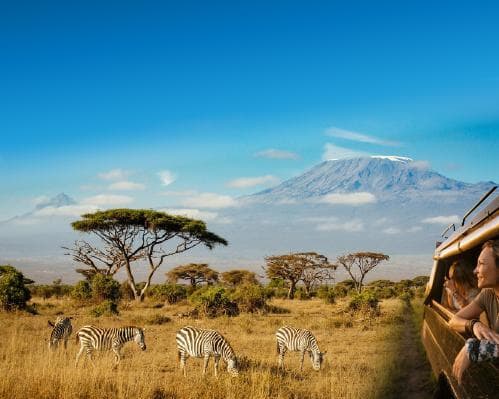 Safari no Quénia + Praia