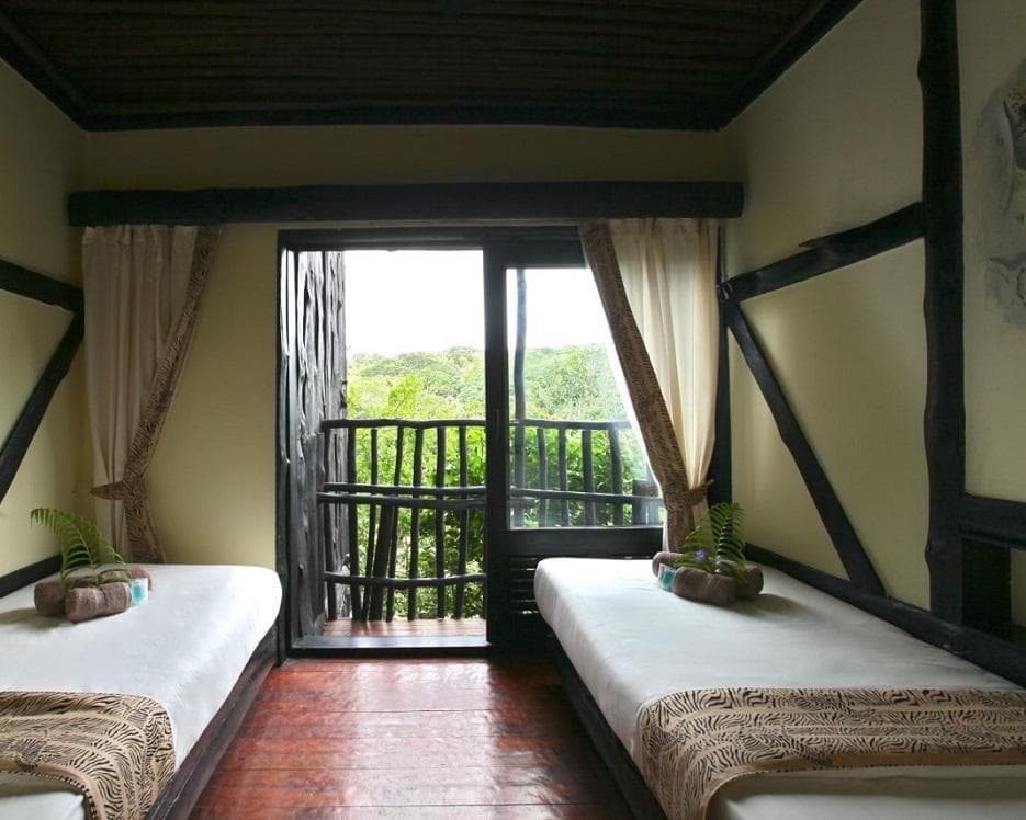 Safari "Savanne & Regenwald"