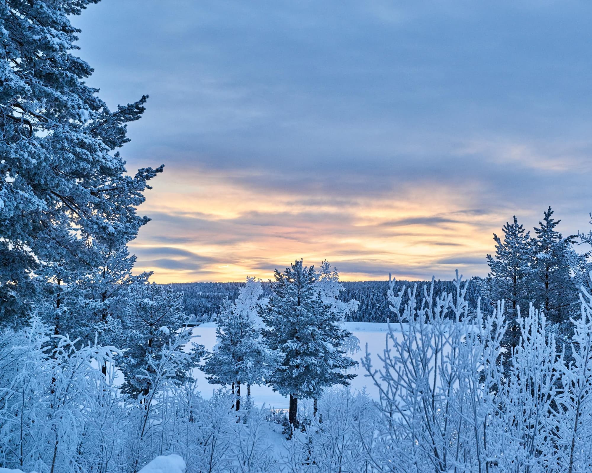 Kurztour "Nordlichterzauber am Polarkreis"