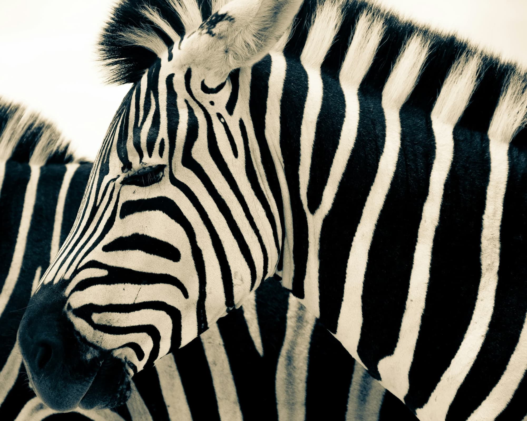 Capodanno in Sudafrica