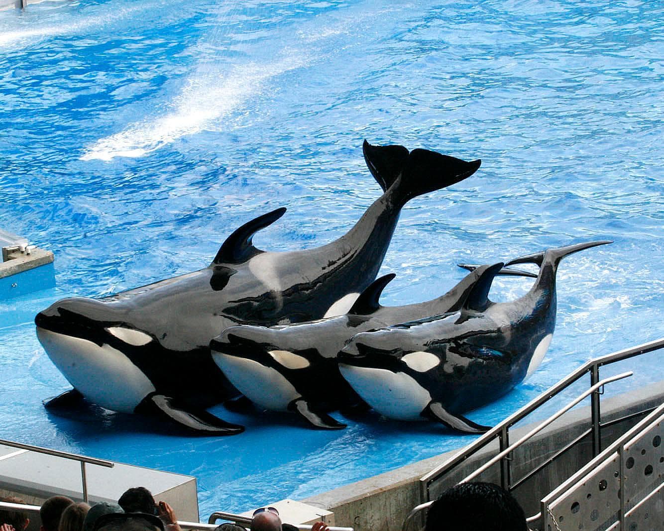 ORLANDO AT YOUR REACH