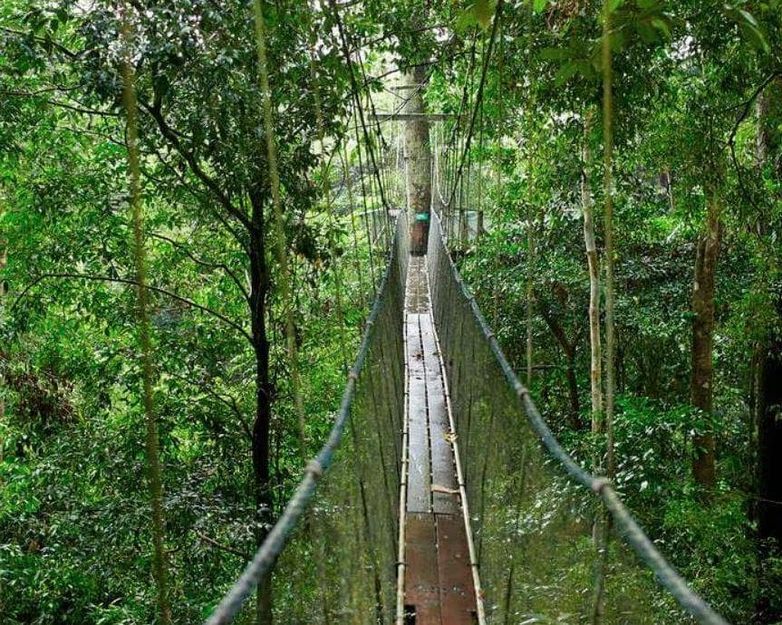 Kurztour "Mulu Nationalpark"