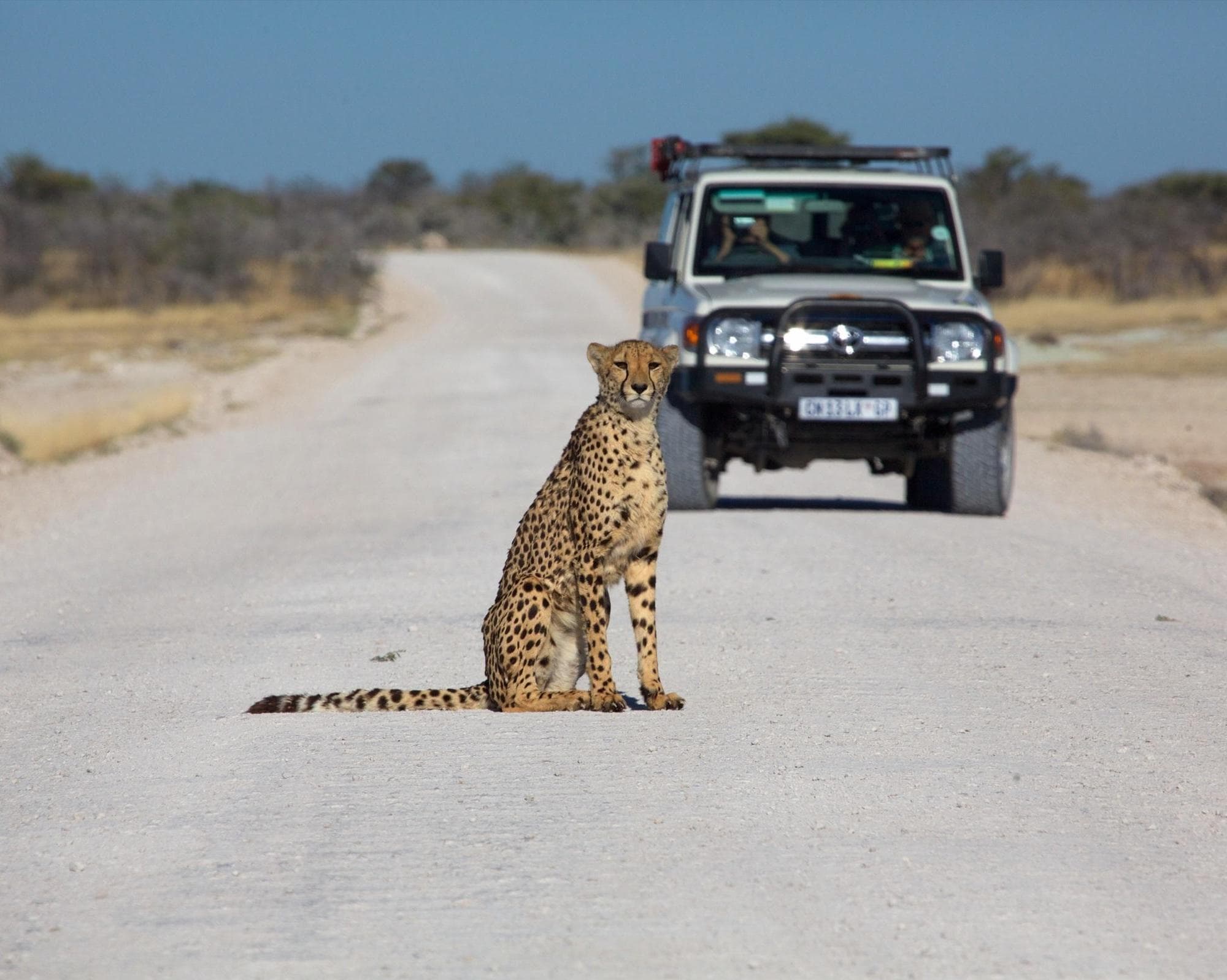 Namíbia Fly & Drive