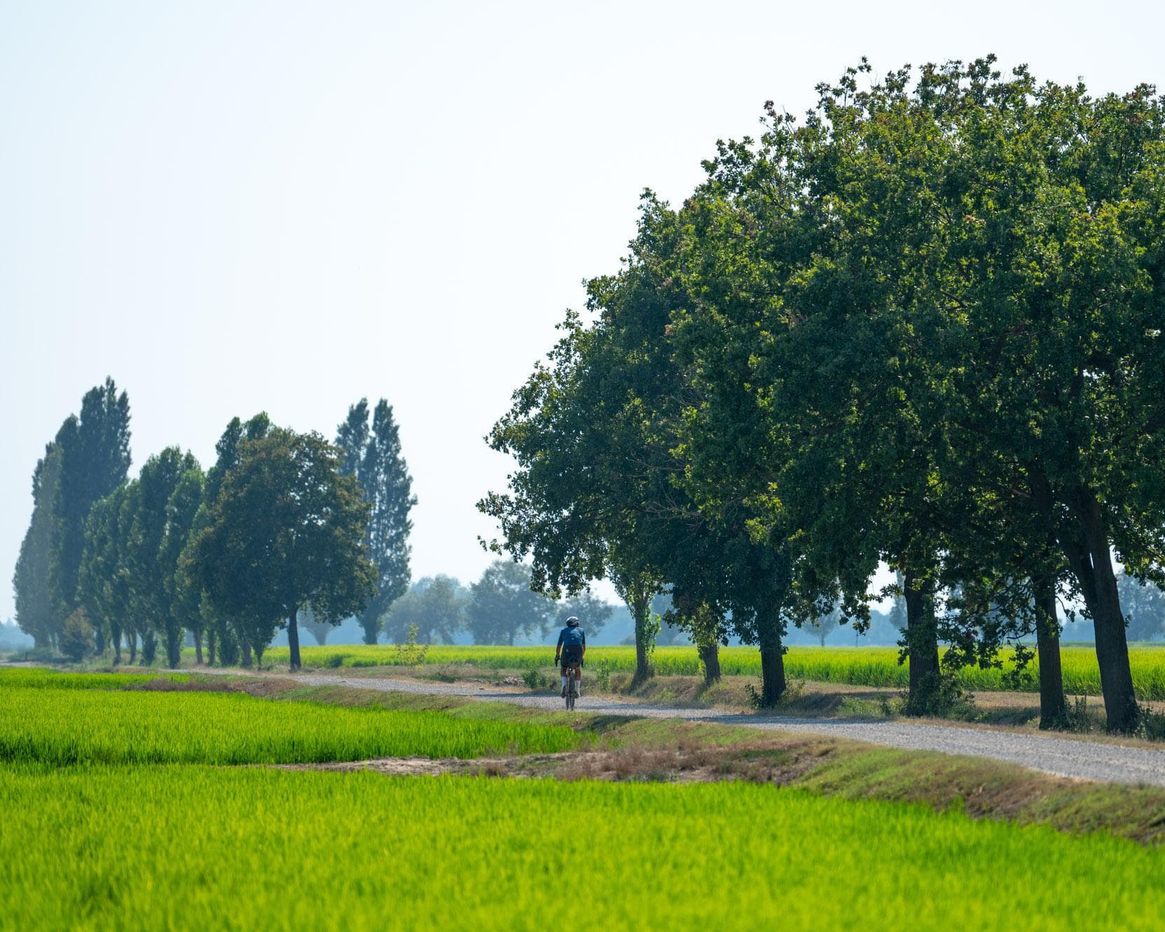 Biking in the "Central Park" between Turin and Milan - 3 days