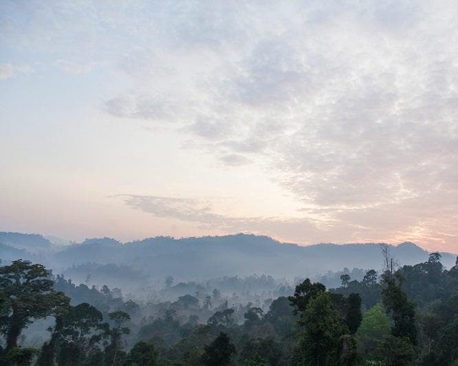 Kurztour "4 Tage Taman Negara"