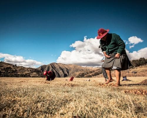 Rundreise "Peru Pur"