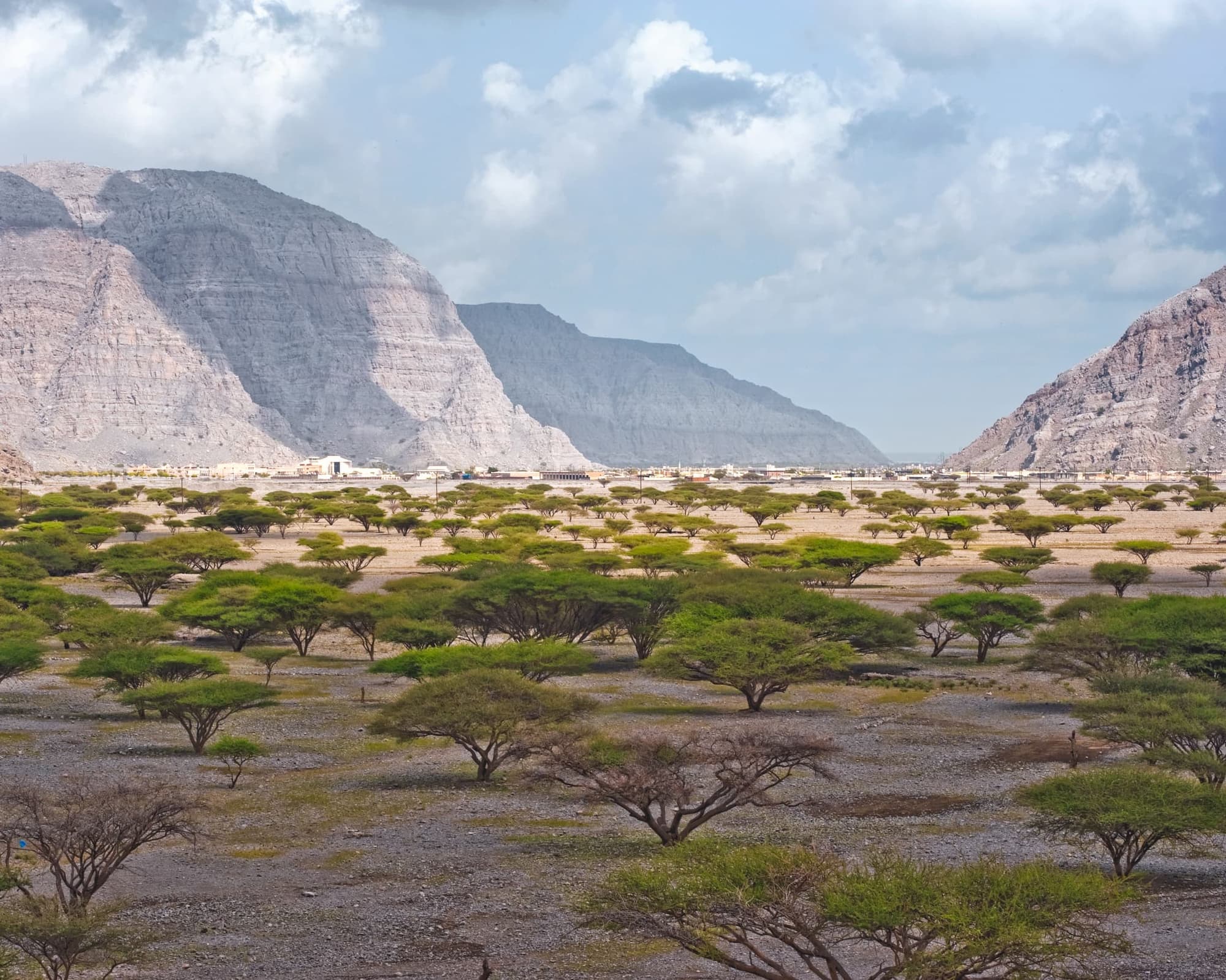 Musandam / Khasab Extension 