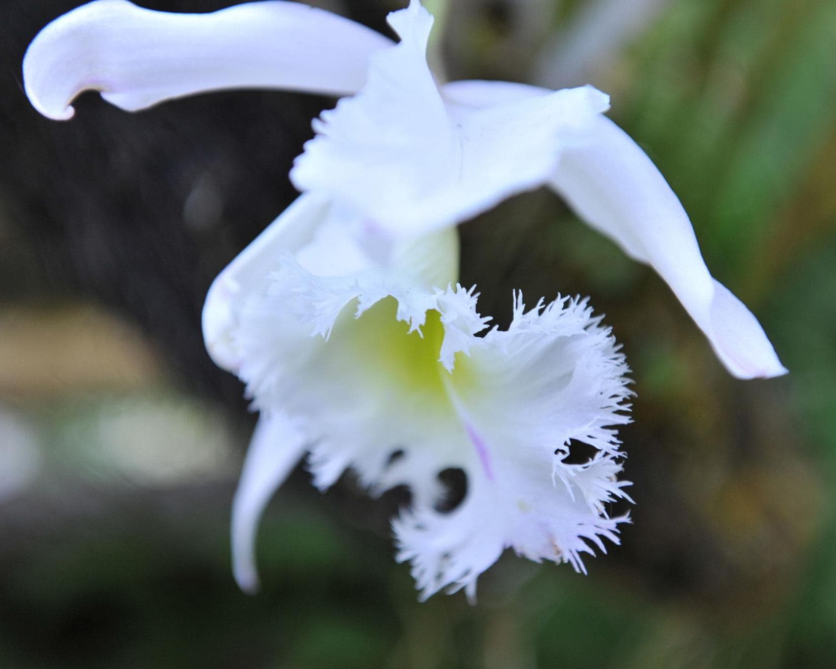 Rundreise "Portrait einer Insel"