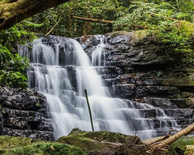 Kurztour "4 Tage Taman Negara"