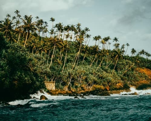 Tour Sri Lanka: 31/03/26