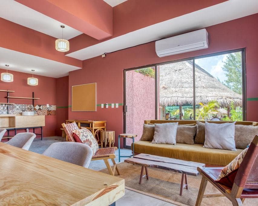 SELINA COLIVE FLEX - LATINOAMERICA