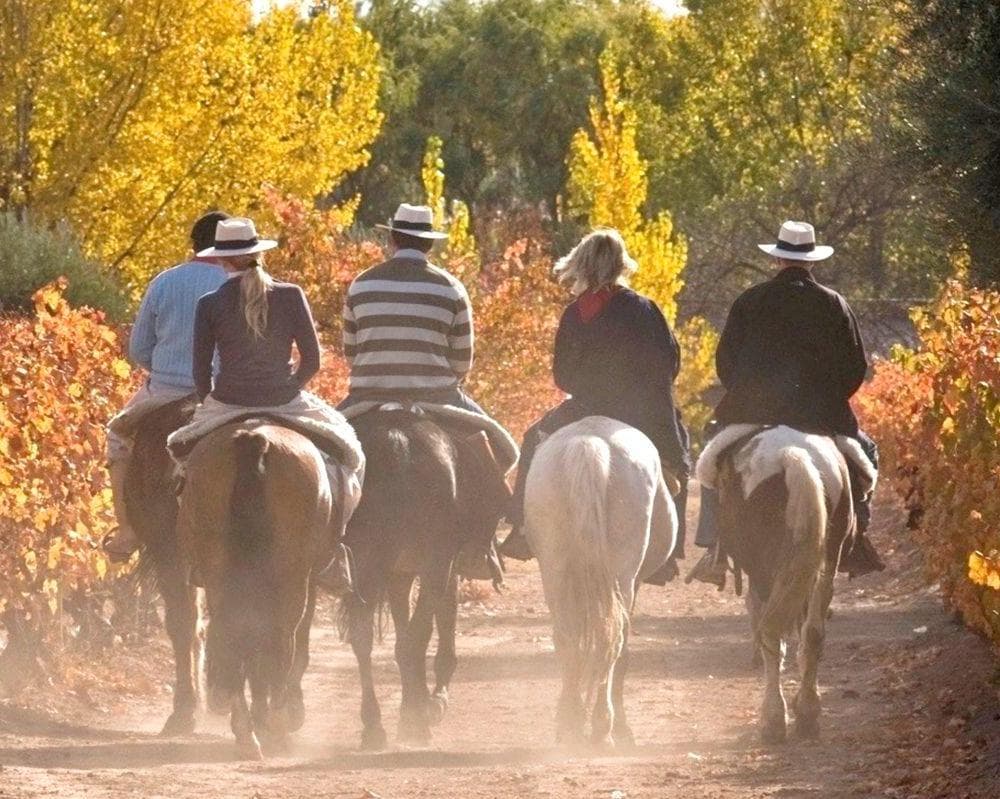 Paquete Mendoza a Caballo 