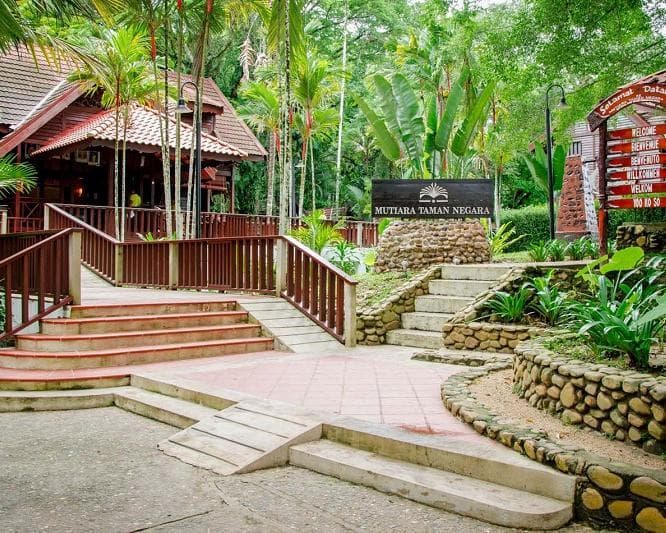 Kurztour "4 Tage Taman Negara"