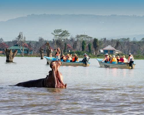 Safari no Quénia + Praia