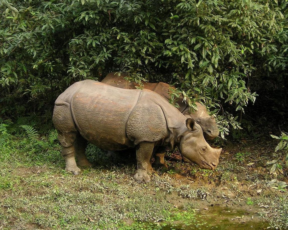 Privatrundreise "Nepal für Einsteiger" 