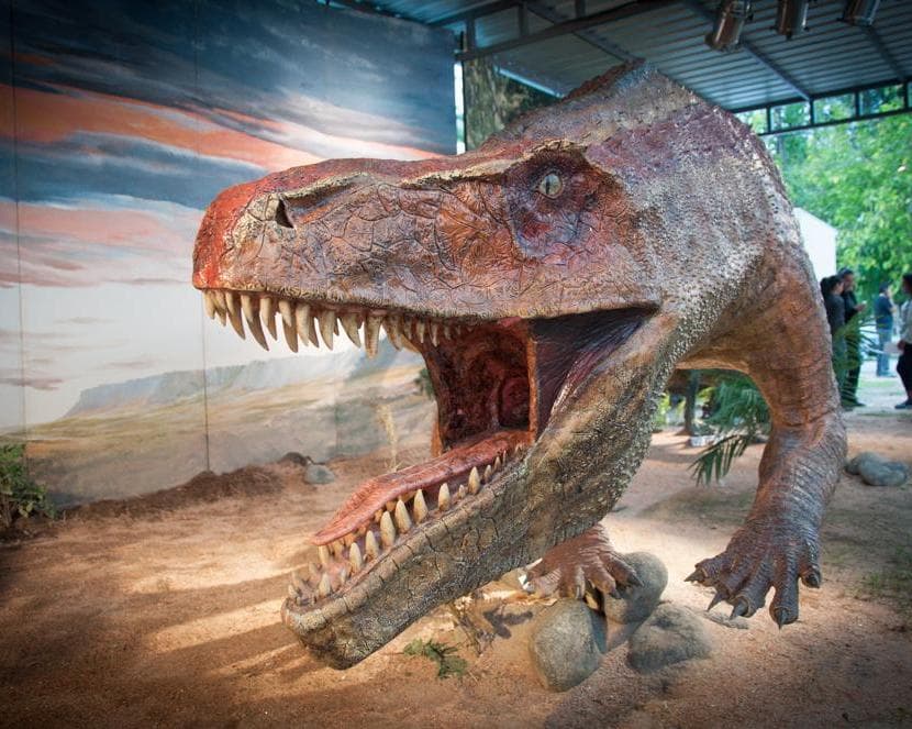 Programa San Juan, La Rioja y Catamarca - Triasico y caminos ancestrales del adoble