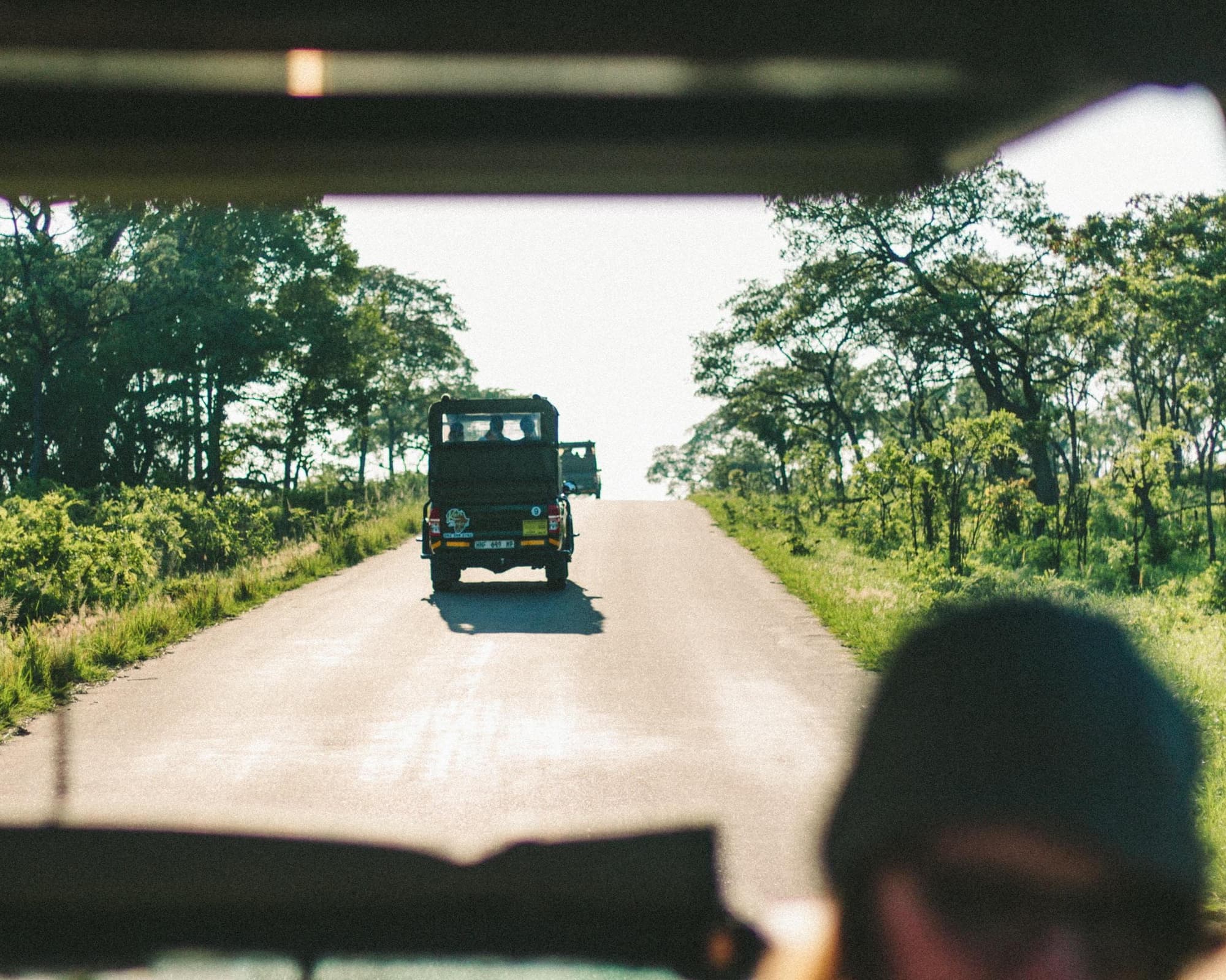 Safari  "Kruger Nationalpark" (3 Tage)