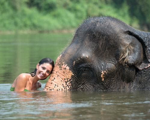 Circuito Tailândia - Março 25