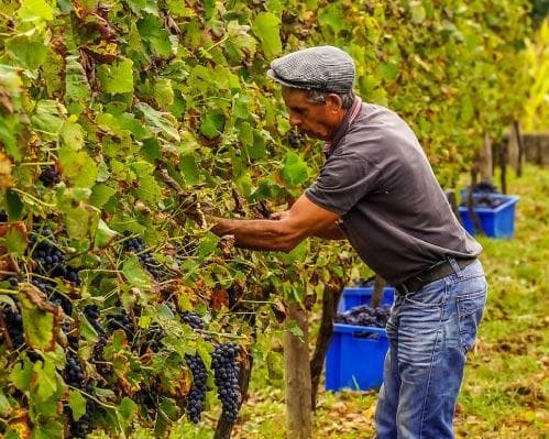 Alojamento Gratuito no Gerês