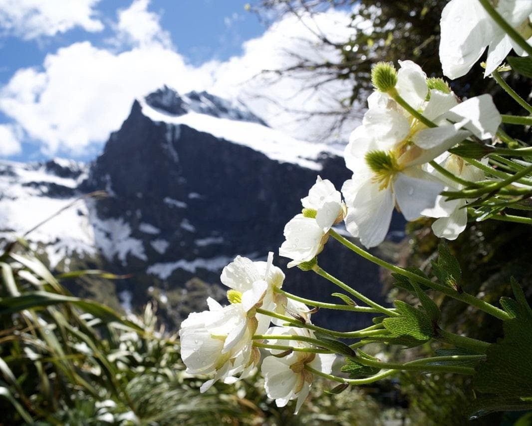 Neuseeland - Höhepunkte der Südinsel Rundreise