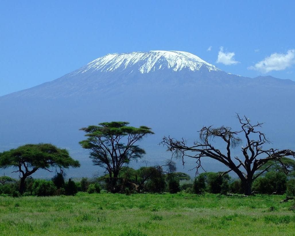 Safari "Amboseli Nationalpark"
