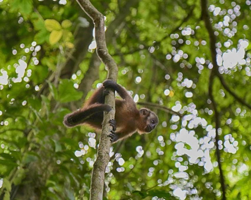 Peru Natural 06 Days / 05 Nights