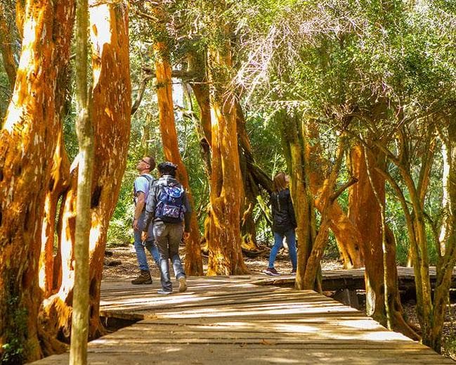 Admira Bariloche, Ciudad Turística de la Patagonia Argentina