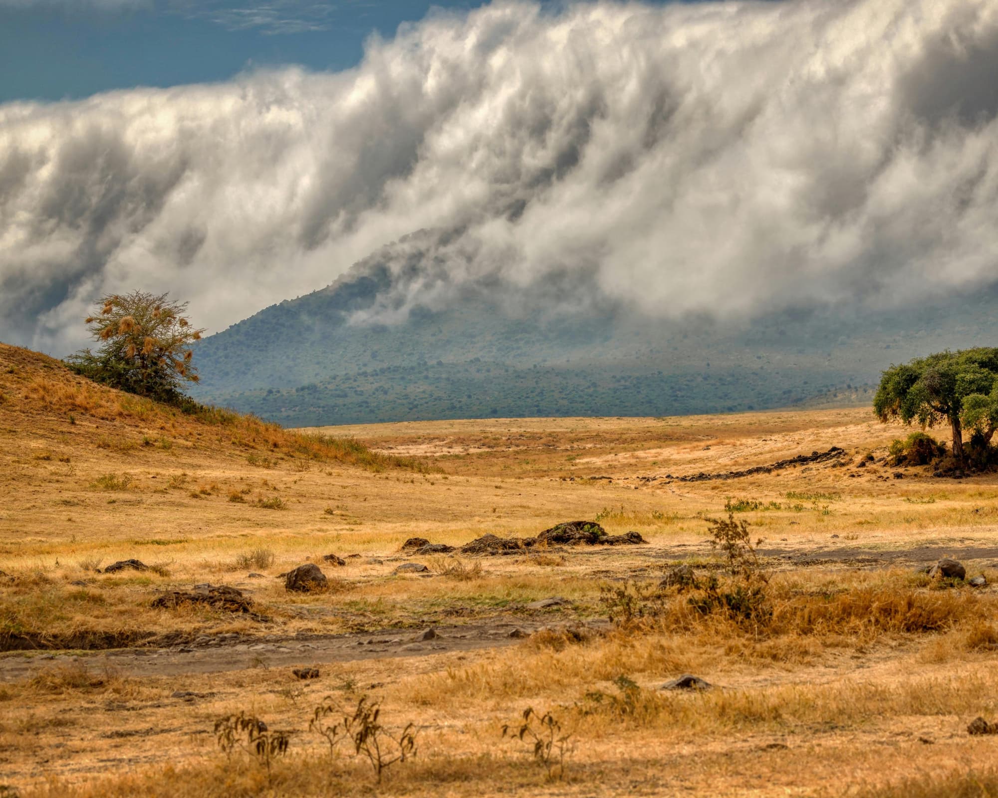 Safari "Ngorongoro und Serengeti Nationalpark" 